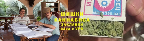 шишки Алзамай